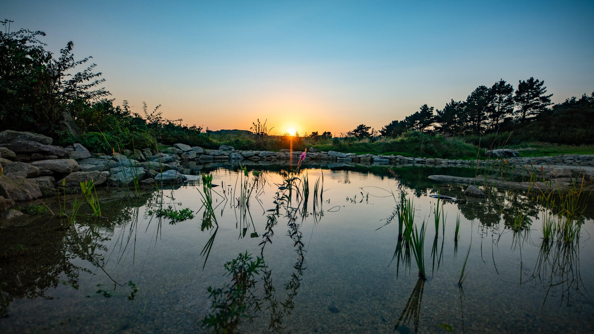 Natural Swimming Pools Cornwall - Mick Kirwan