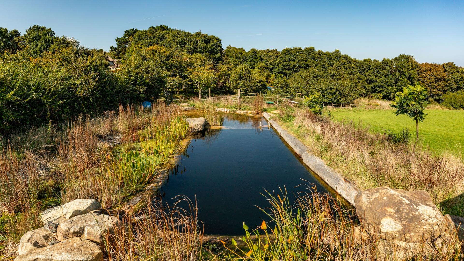 Natural Swimming Pools Cornwall - Mick Kirwan